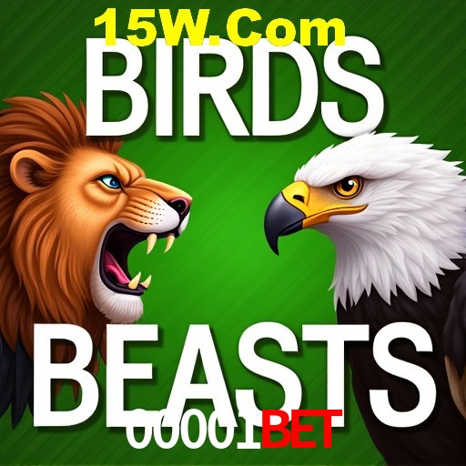 00001Bet Rio de Janeiro - Bonus Terms